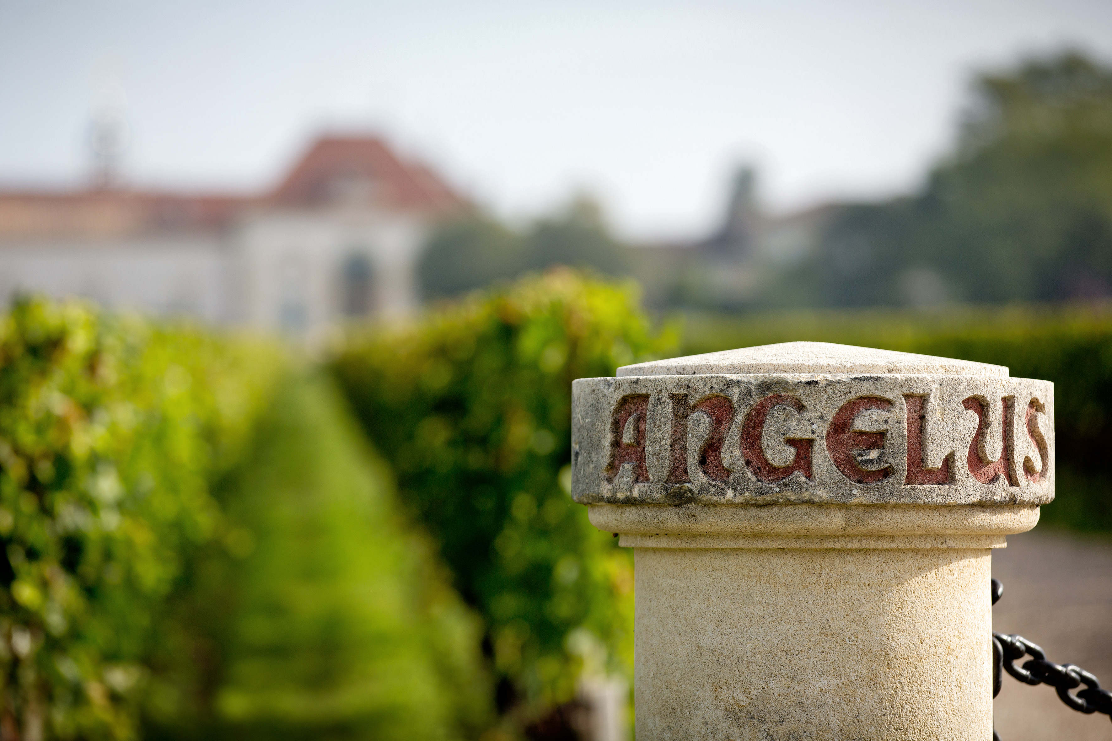 金钟、柏菲2012年纪念酒标