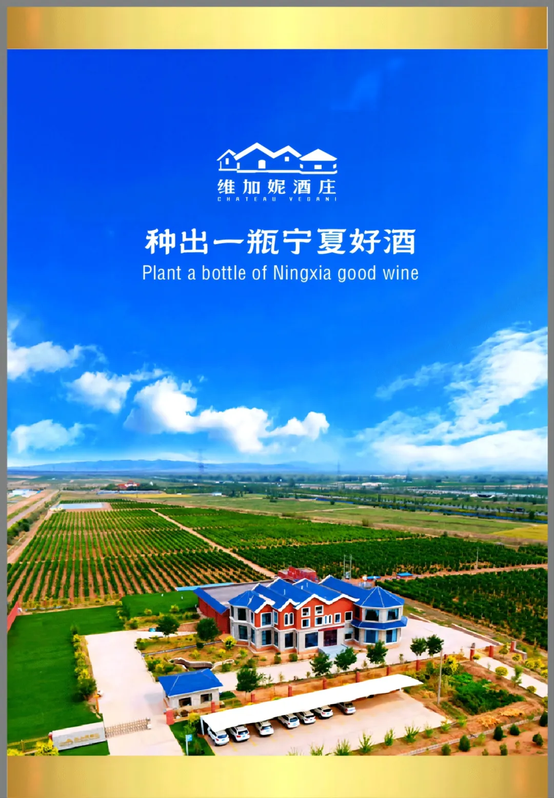 贺兰山秘境：朱简MW解锁维加妮酒庄的奥秘