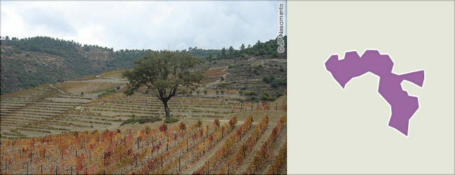 葡萄牙葡萄酒地图