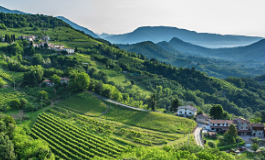 十问十答，快速了解意大利威尼托产区