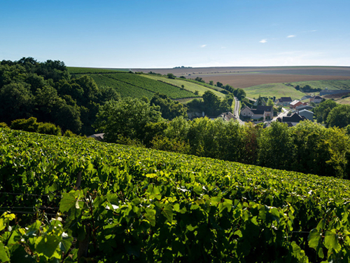 夏布利产区葡萄酒介绍（一）