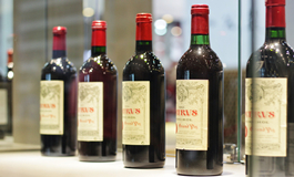 十问十答，还你一个真实完整的右岸波美侯