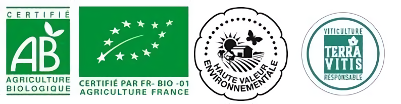 缤纷多彩，多元创新——波尔多与超级波尔多产区