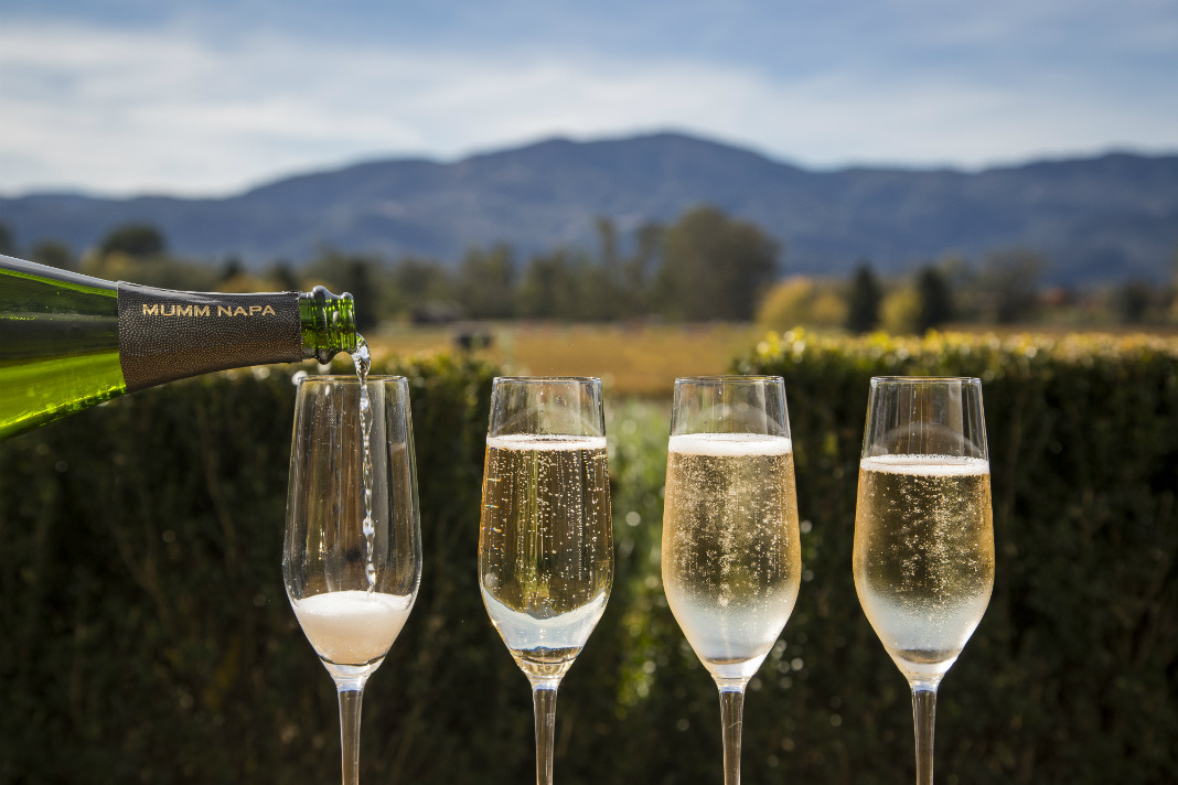 好酒就该配好杯：如何看酒选杯