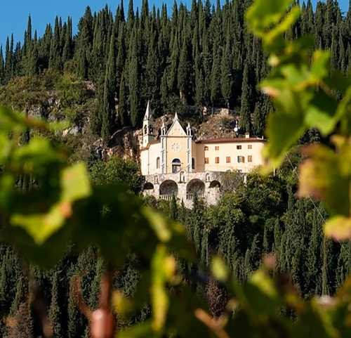 滴滴珍贵，阿玛罗尼经典代表——萨莱特酒庄