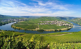 十问十答，轻松掌握德国葡萄酒！