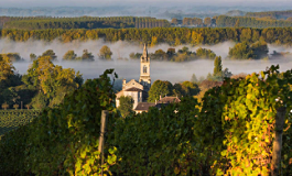 十问十答，快速了解法国波尔多