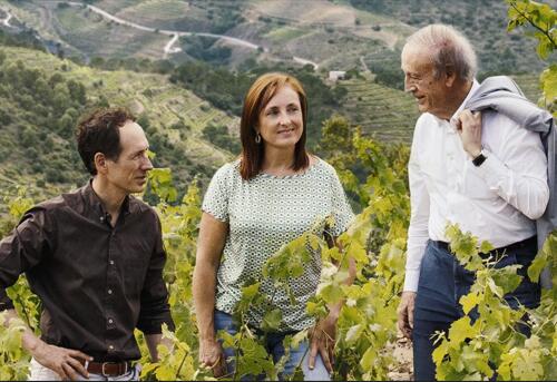 与气候变化的战役：押注于古老葡萄品种