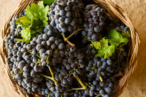 西西里岛葡萄酒一览