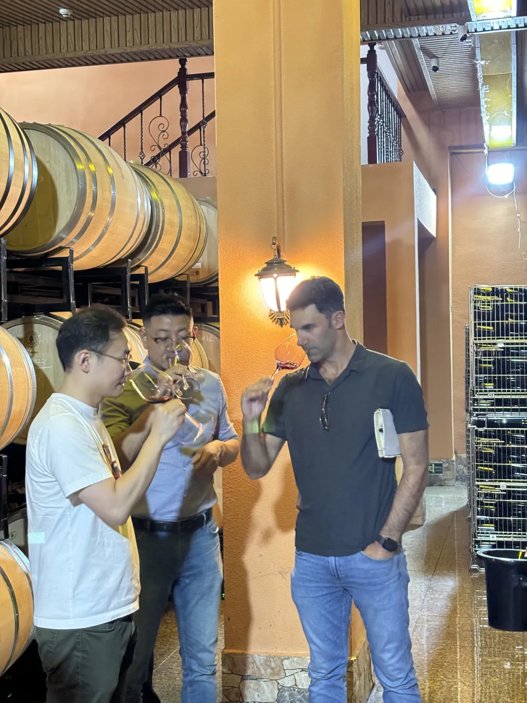 贺兰山秘境：朱简MW解锁维加妮酒庄的奥秘