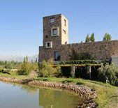 新生酒庄(Bodega Renacer)