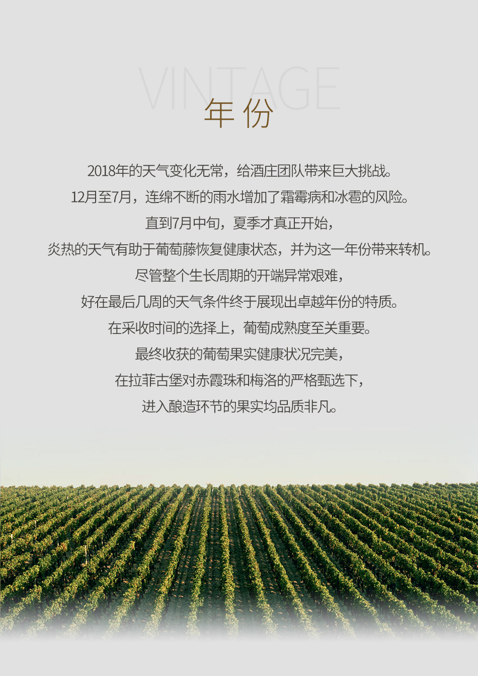 2018年拉菲古堡红葡萄酒