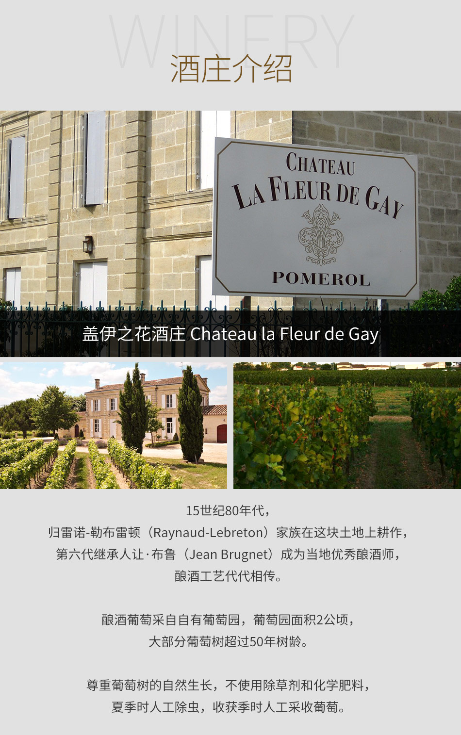 盖伊之花酒庄