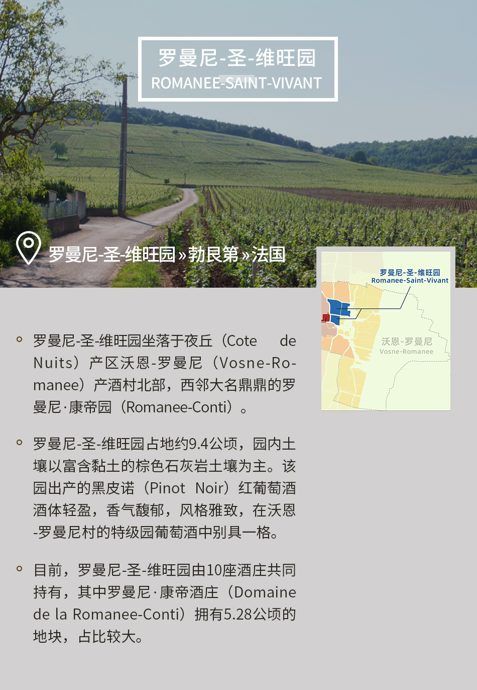 法国勃艮第 罗曼尼-圣-维旺园