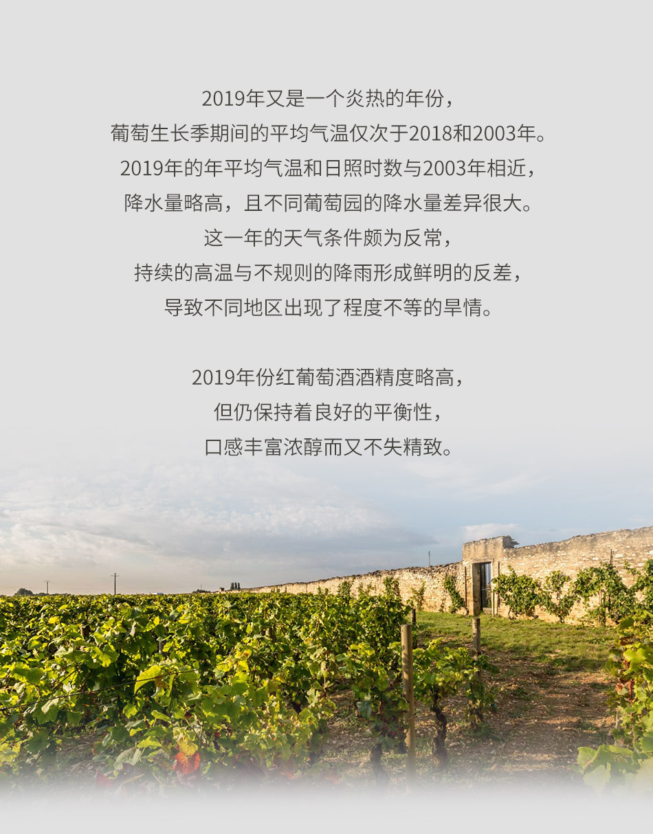 2019年亚伯必修酒庄克洛斯弗兰缇庄园沃恩罗曼尼一级园玛康索红葡萄酒