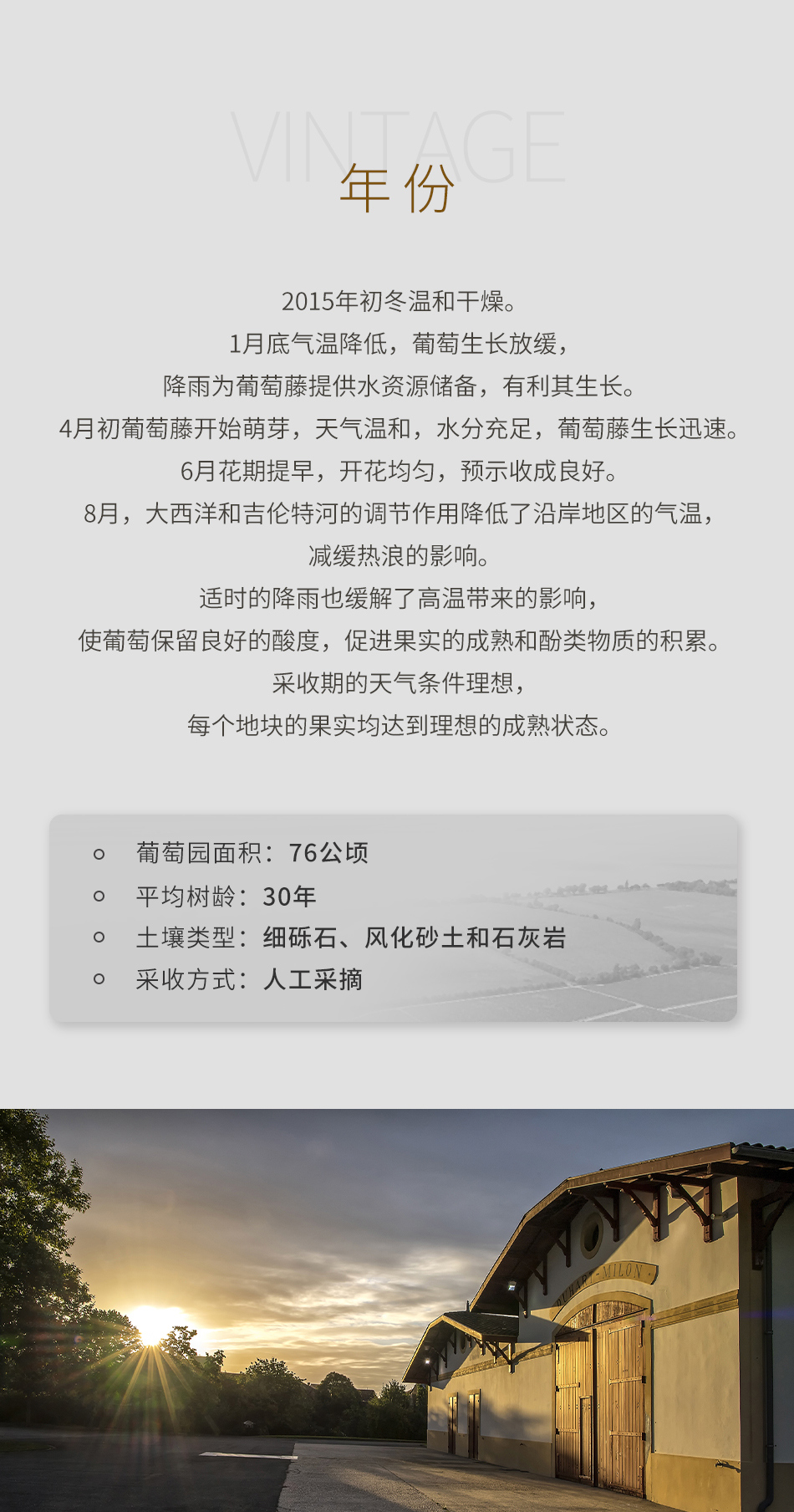 2015年杜哈米隆古堡红葡萄酒