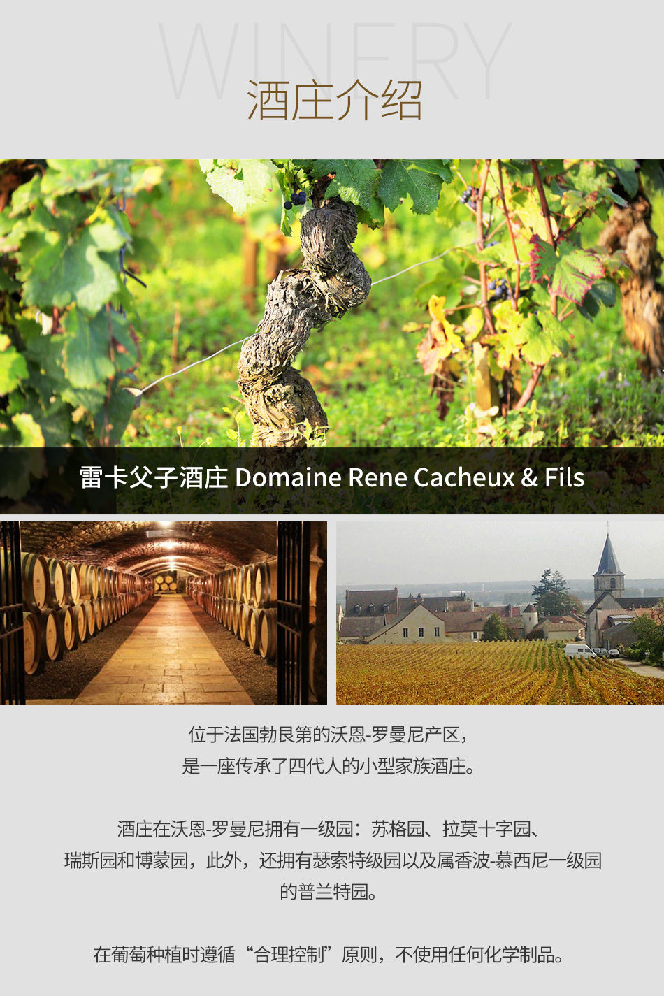 雷卡父子酒庄
