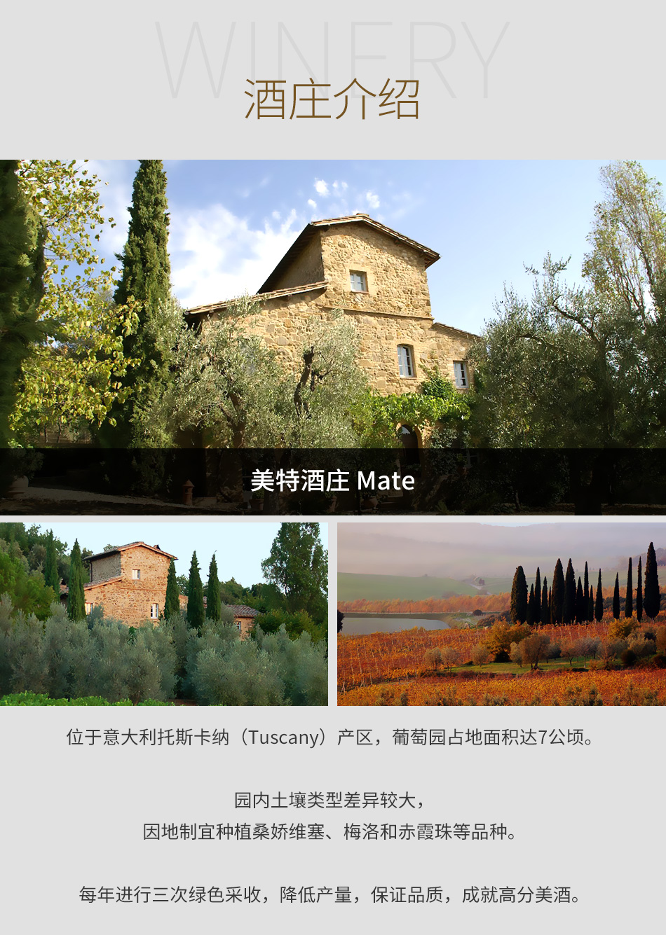 美特酒庄