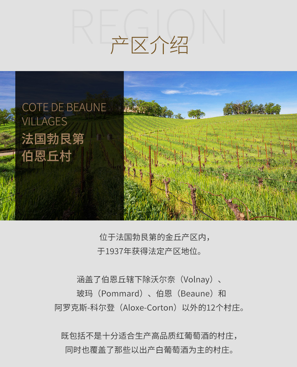 法国勃艮第-伯恩丘村