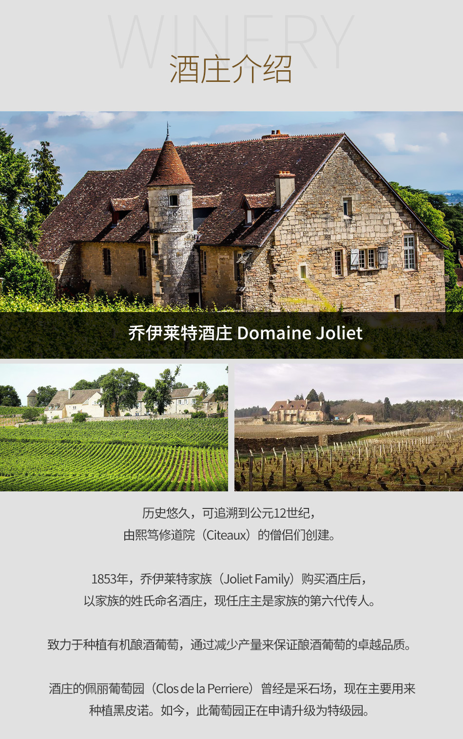 乔伊莱特酒庄