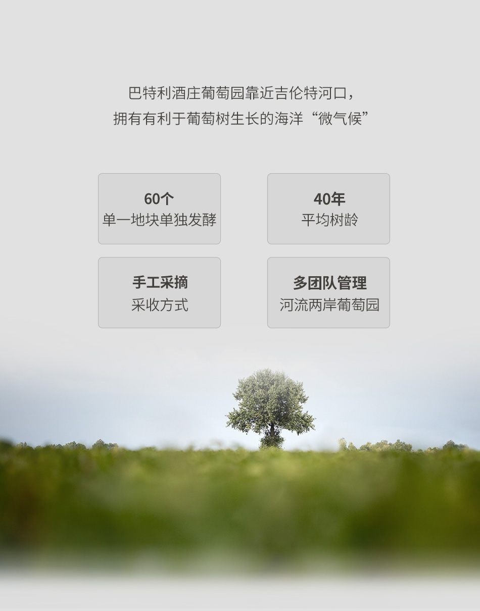 2015年巴特利酒庄红葡萄酒