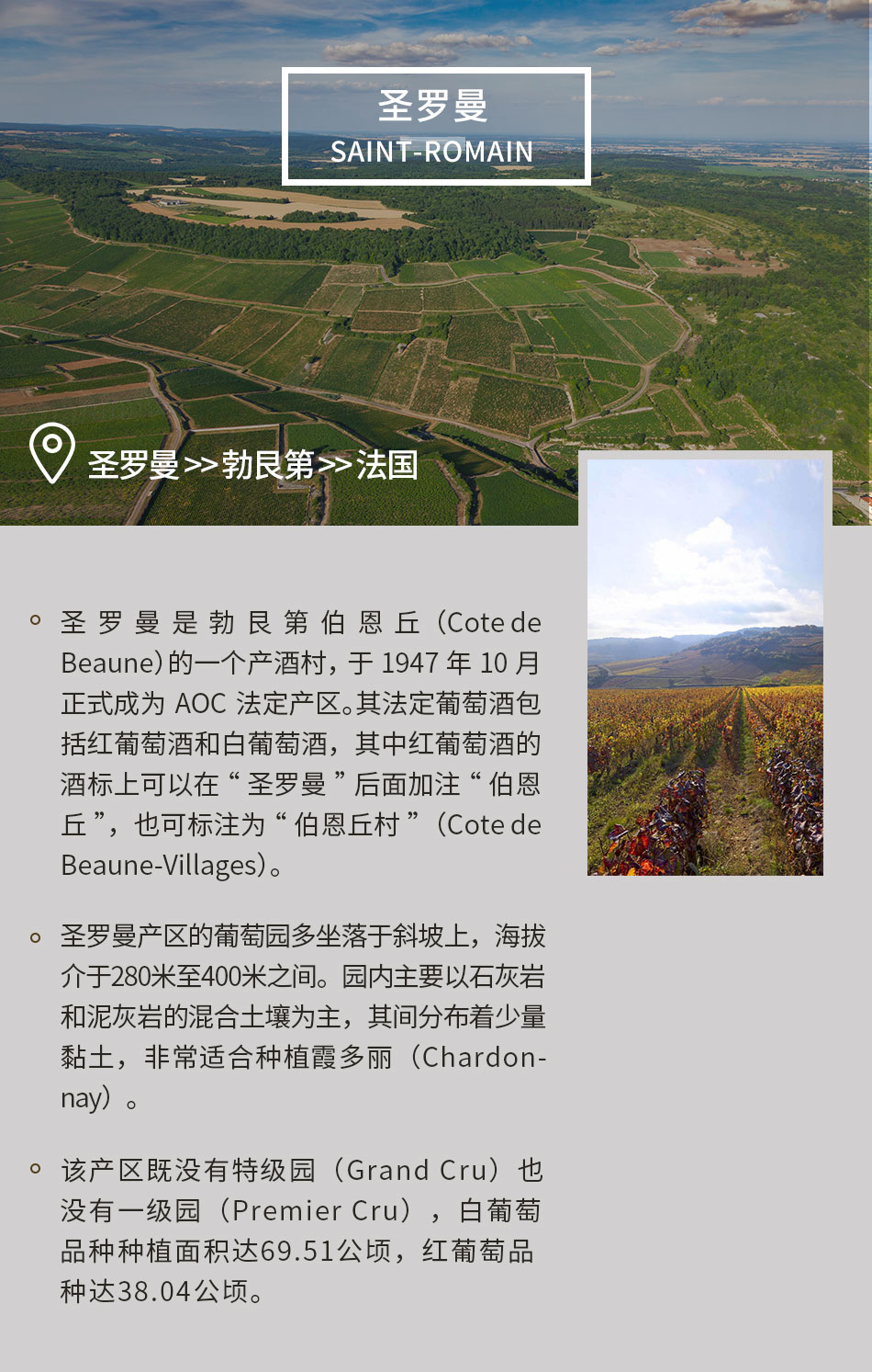 法国勃艮第 圣罗曼