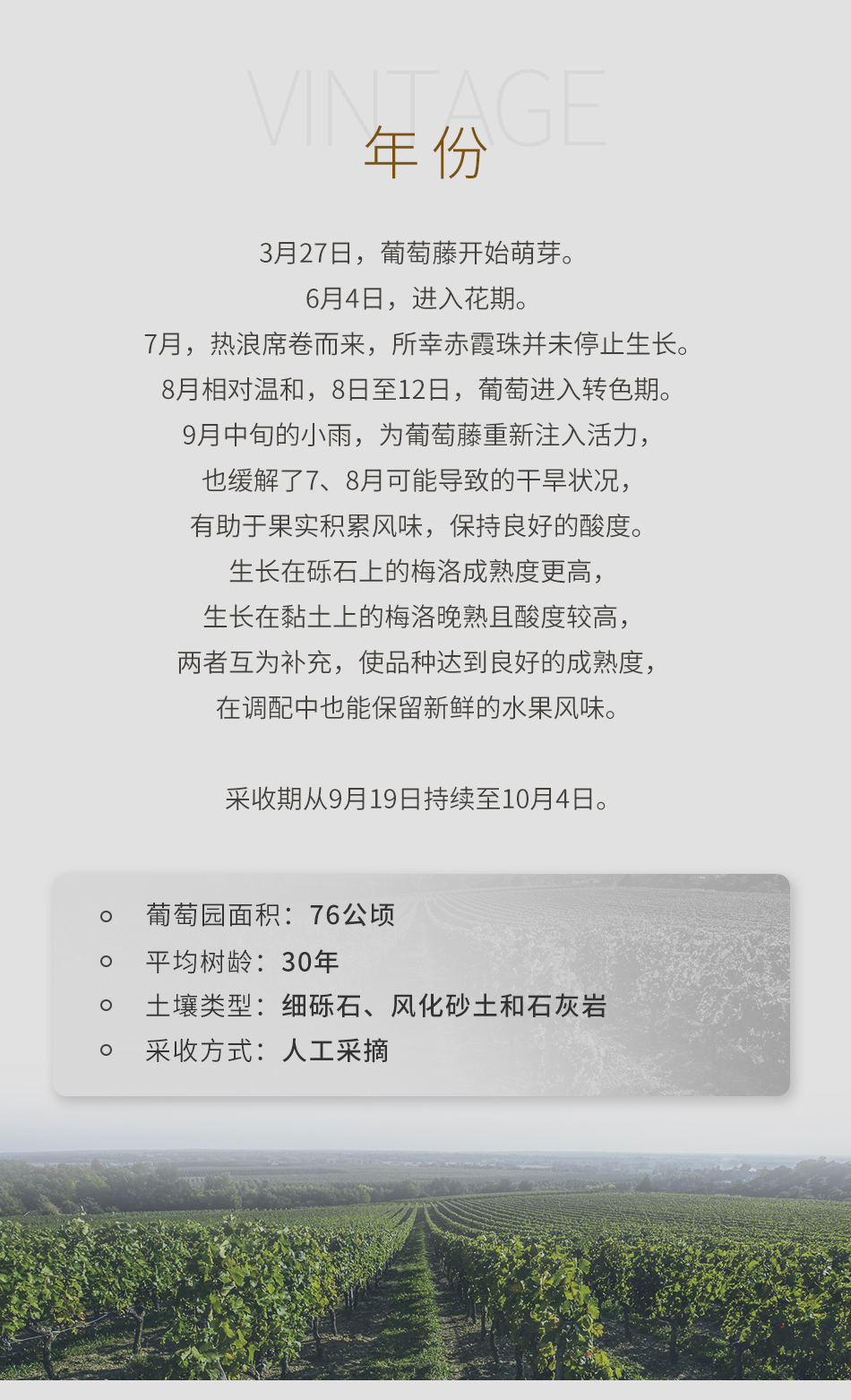 2019年杜哈米隆古堡红葡萄酒