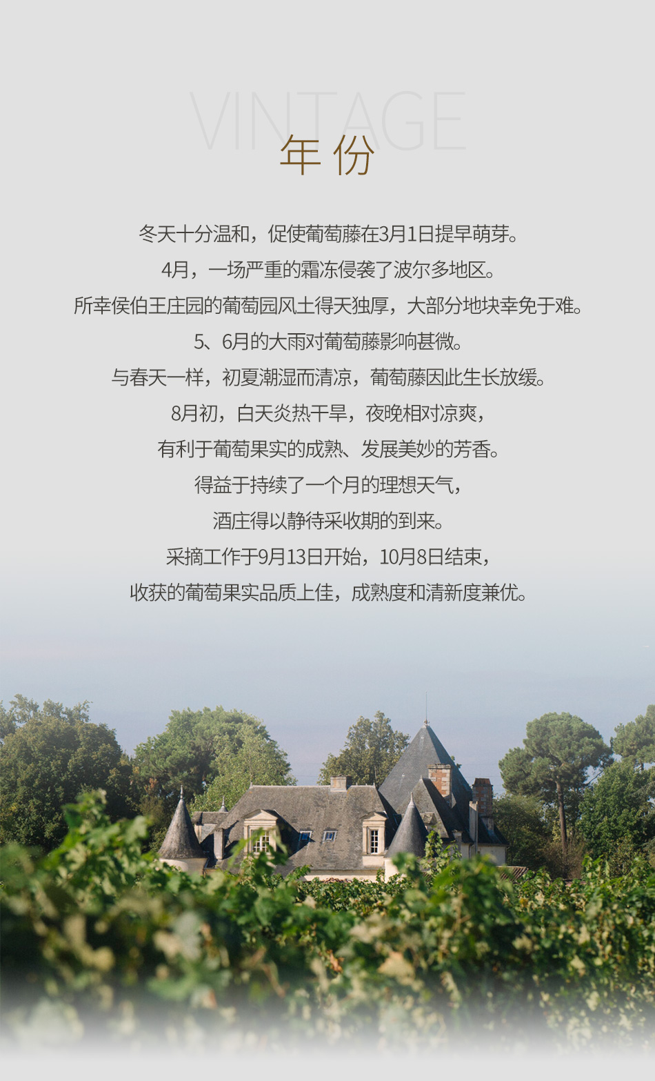 2021年小侯伯王红葡萄酒