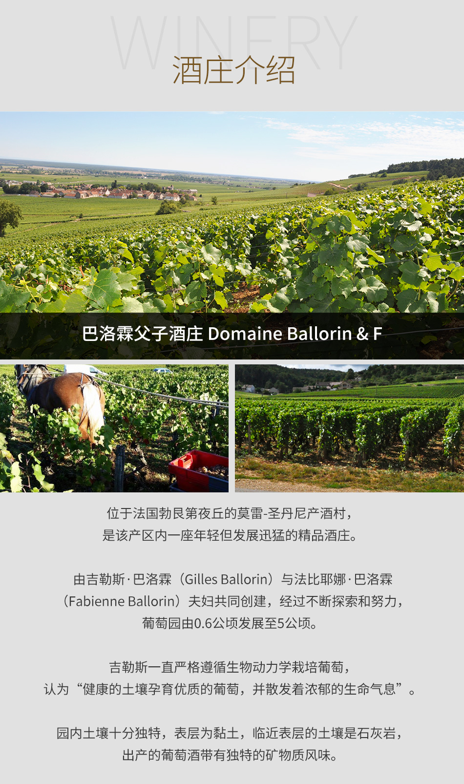 巴洛霖父子酒庄