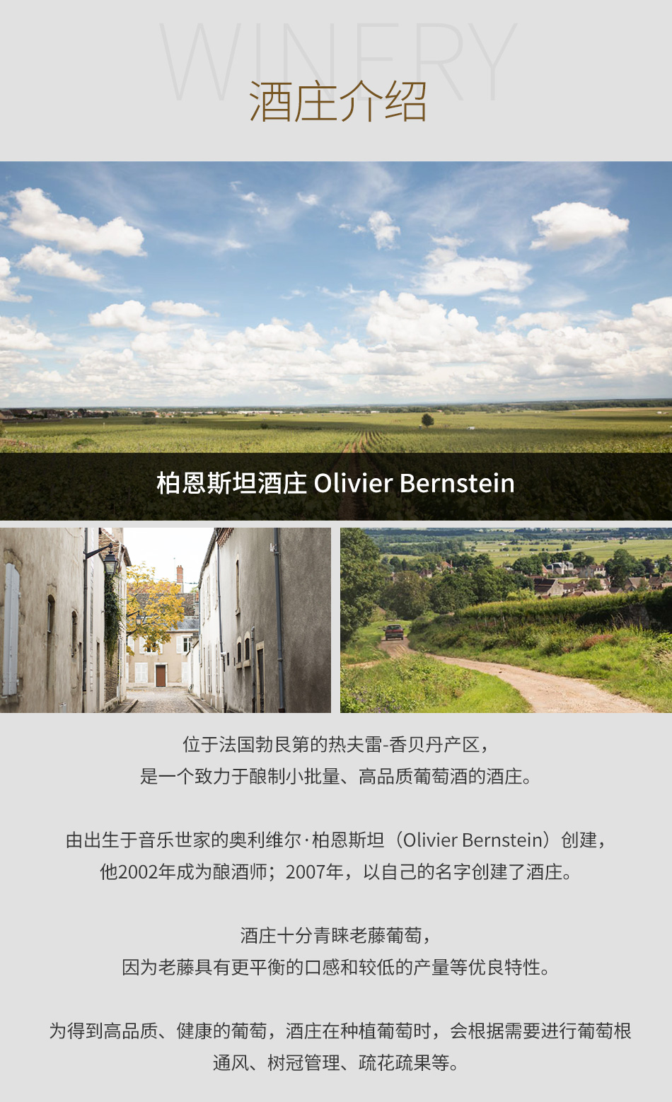 柏恩斯坦酒庄