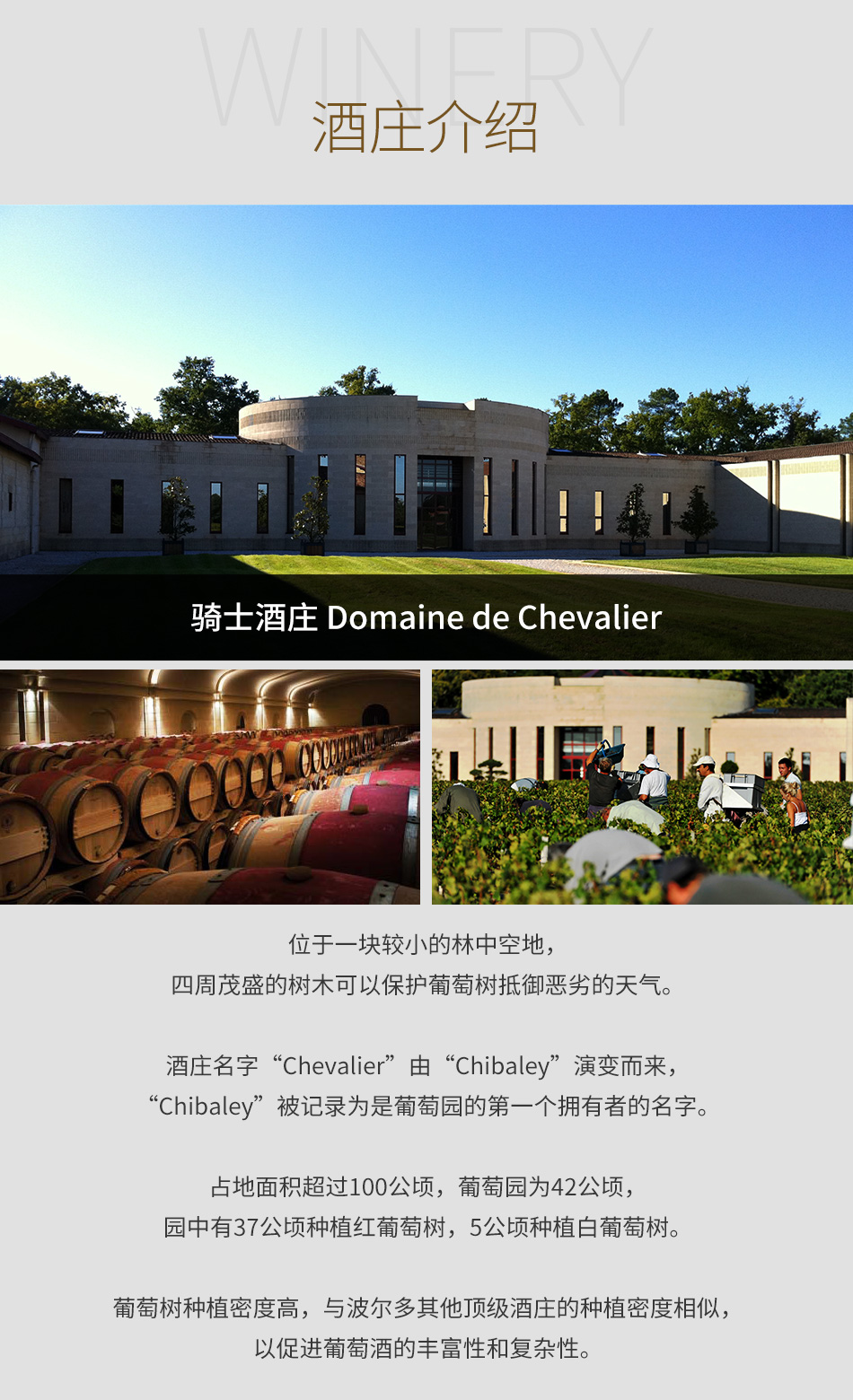 骑士酒庄