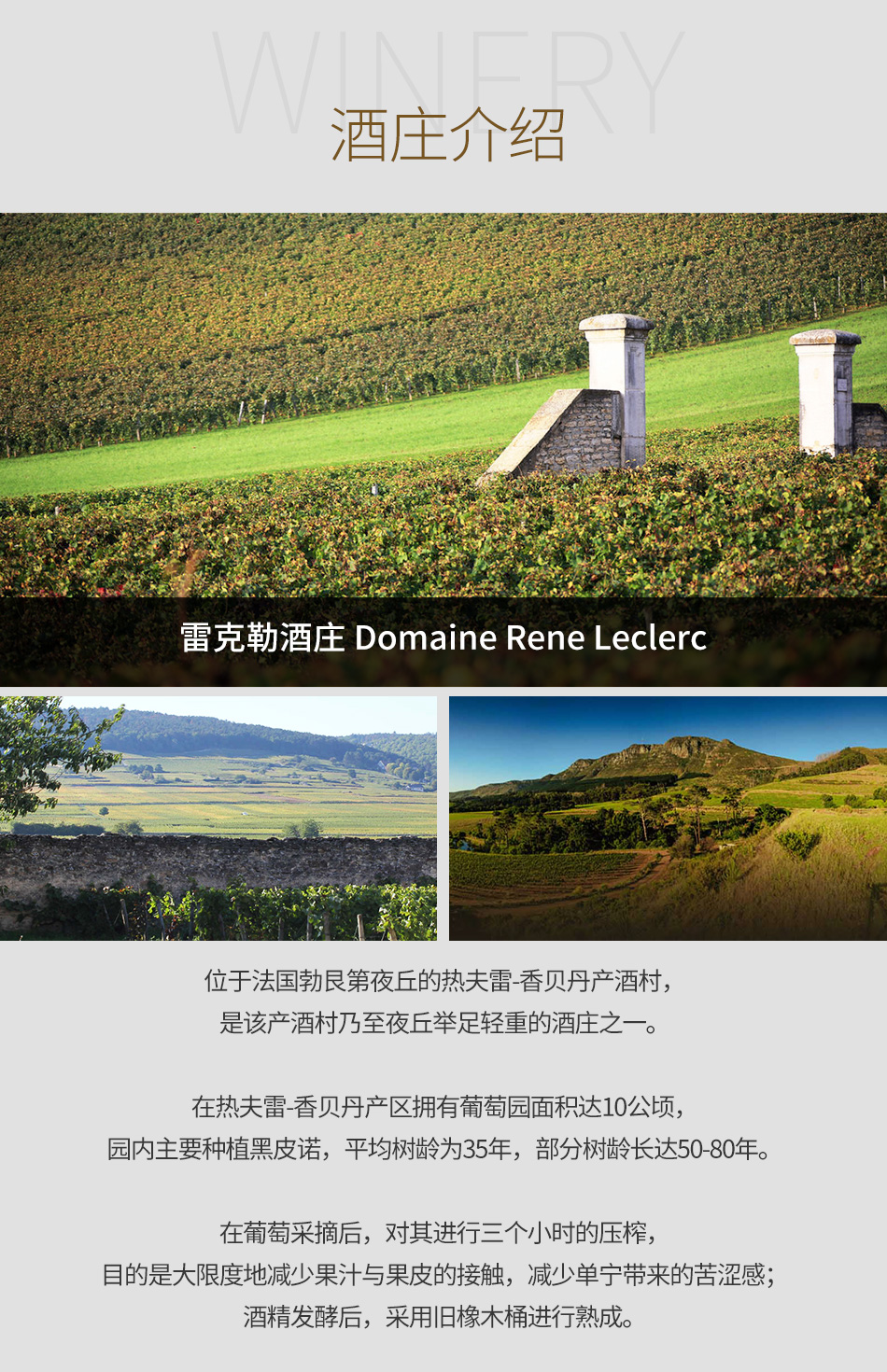 雷克勒酒庄