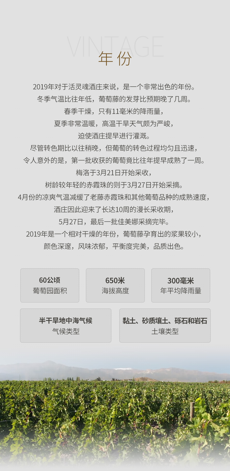 2019年活灵魂酒庄红葡萄酒