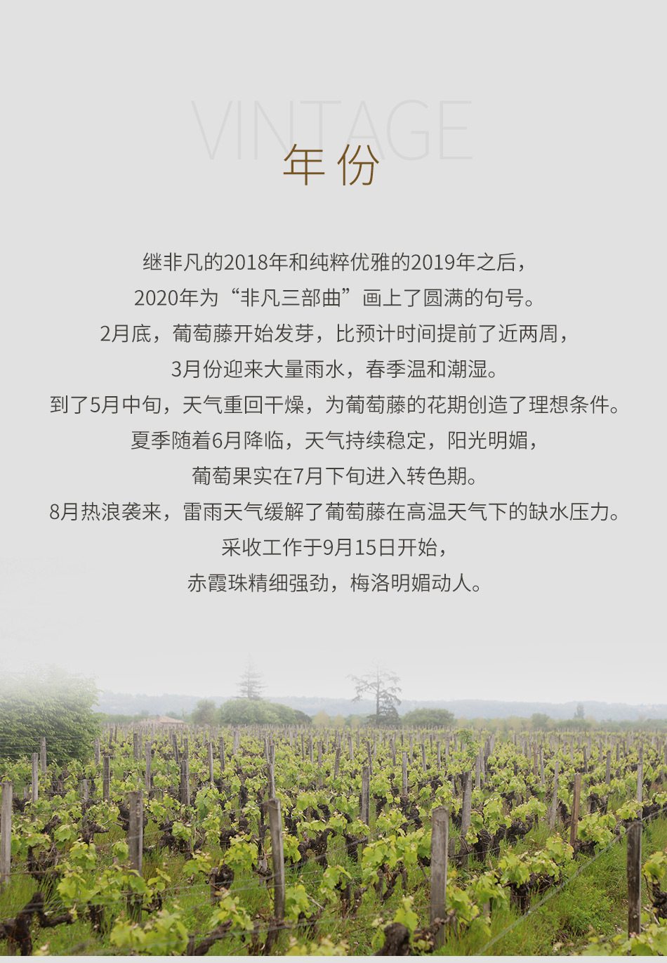 2020年宝马庄园副牌（知己）红葡萄酒