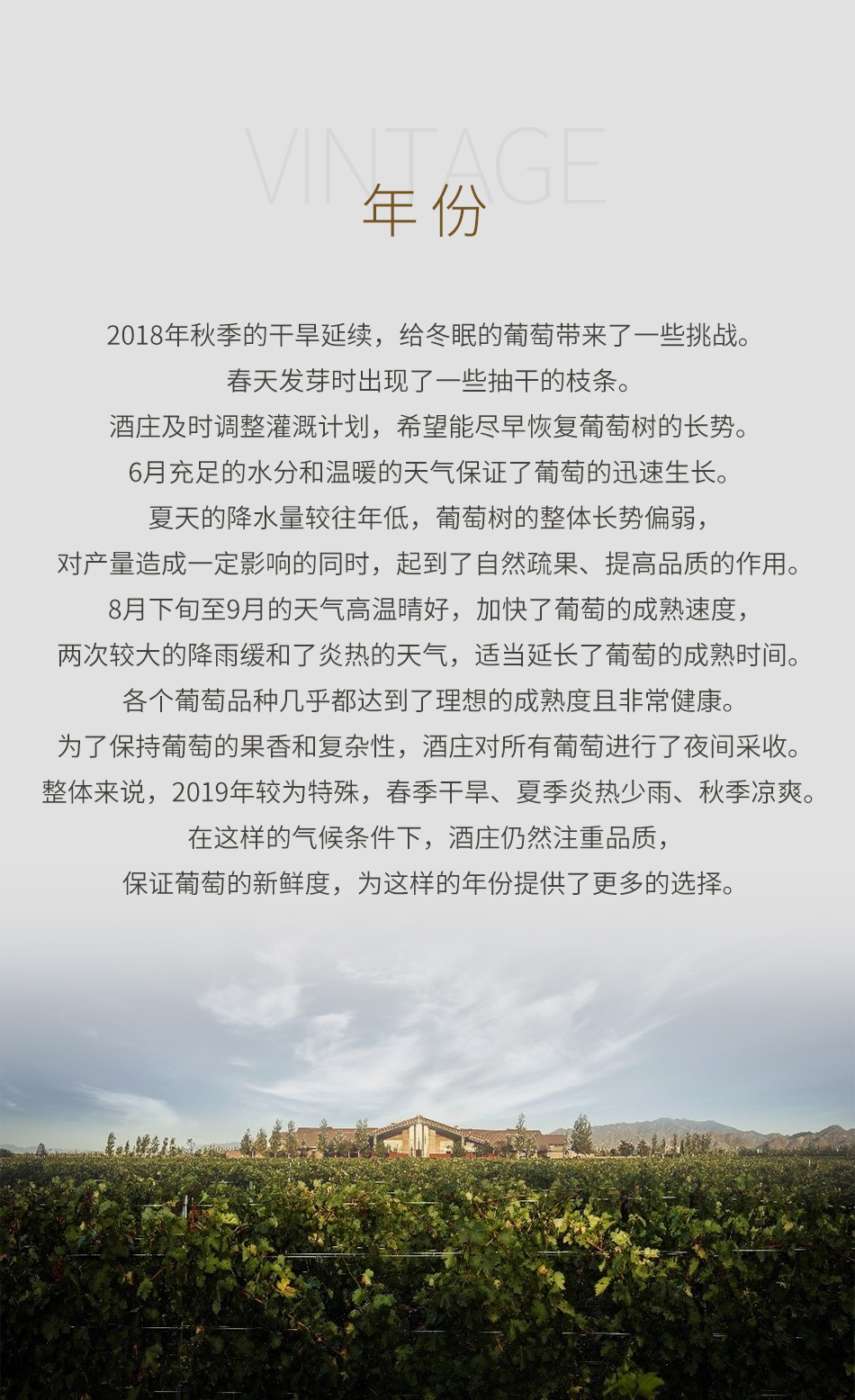 2019年诗百篇特选雷司令干白葡萄酒【三瓶套装】