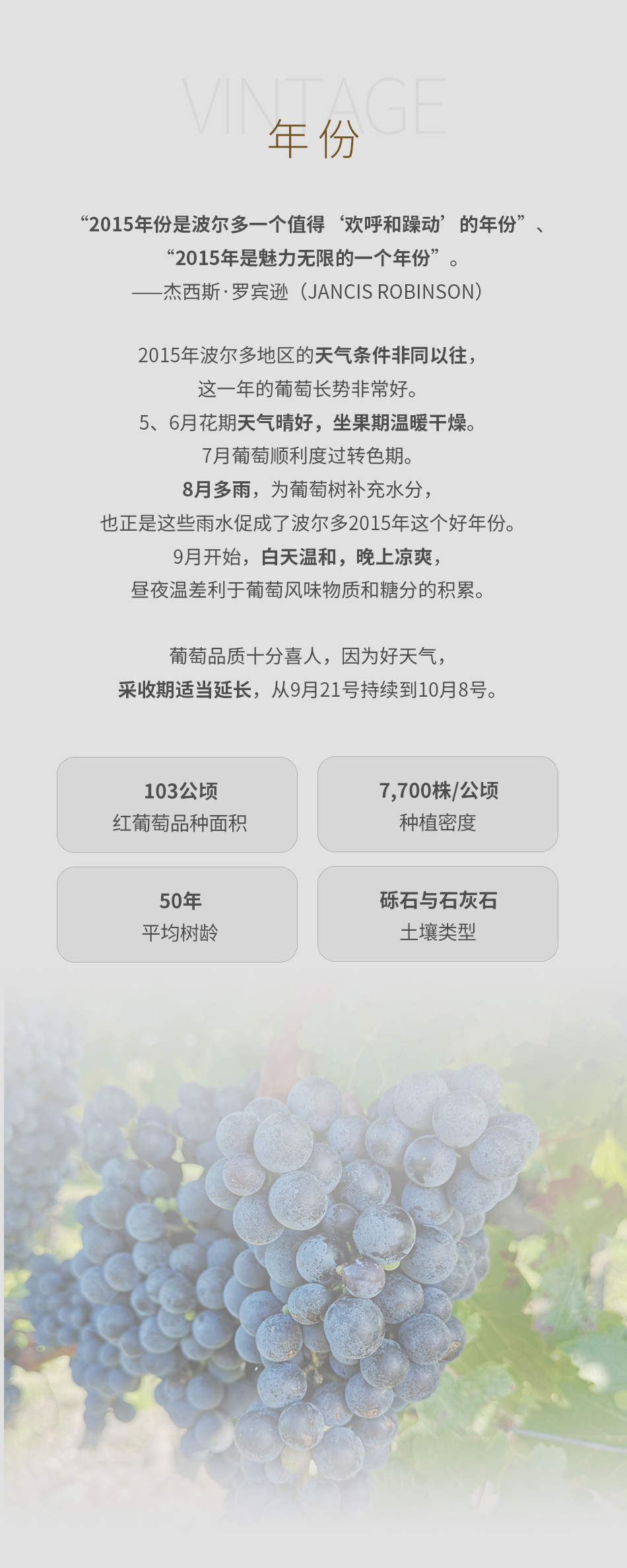 2015年大宝城堡红葡萄酒