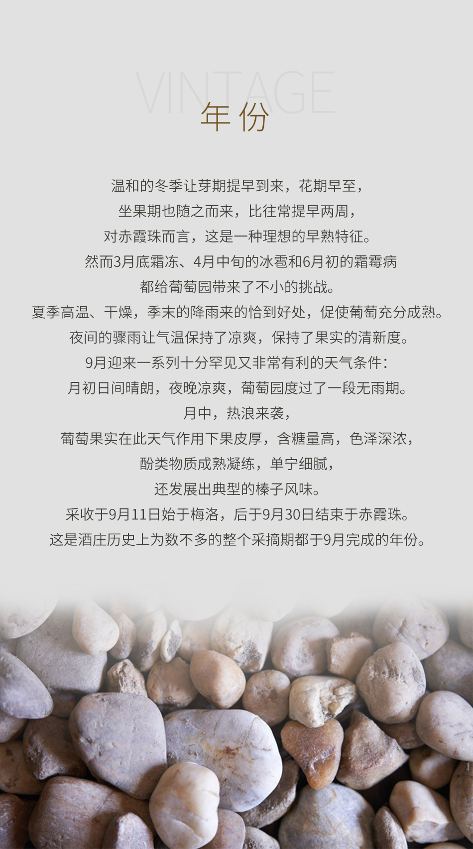 2020年宝嘉龙城堡红葡萄酒