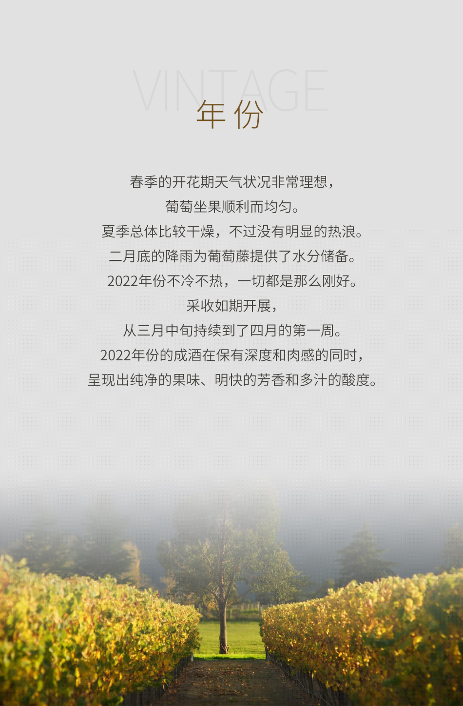 2022年太阳屋酒庄长相思白葡萄酒