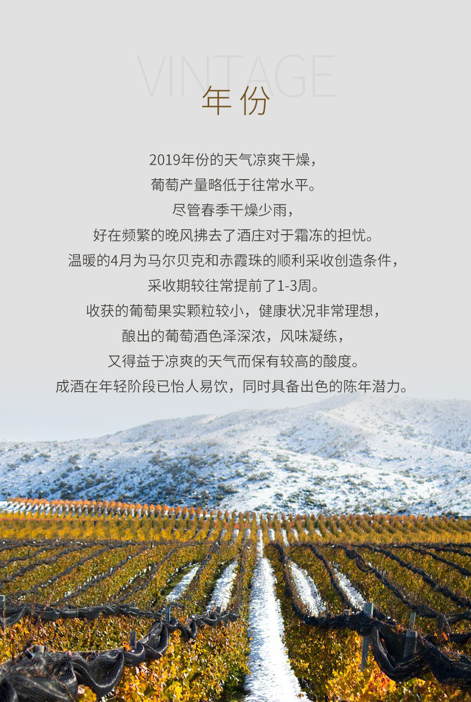 2019年卡帝娜尼古拉斯红葡萄酒