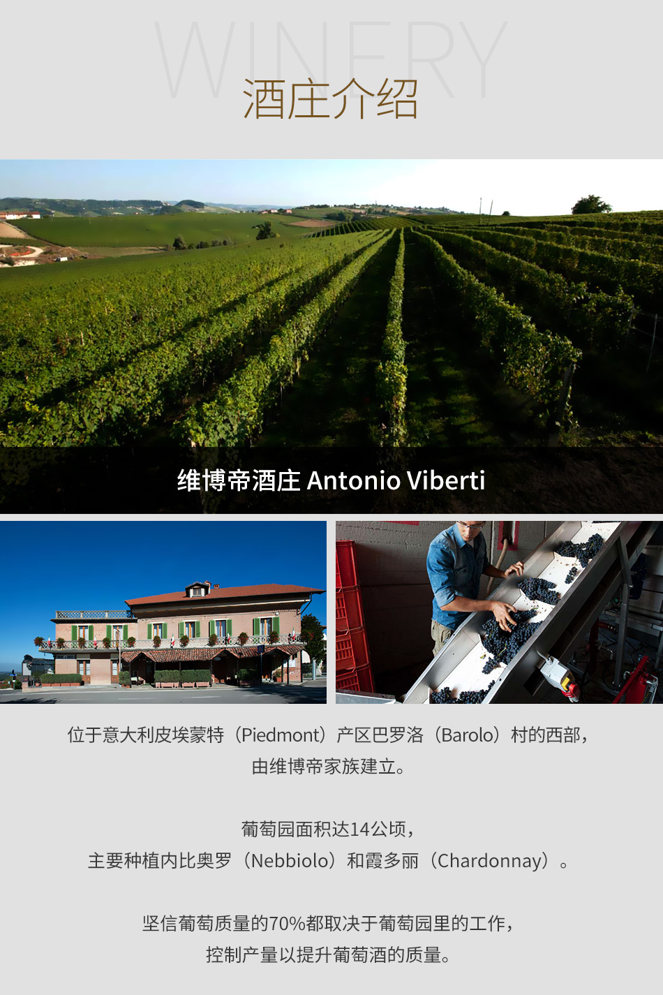 维博帝酒庄