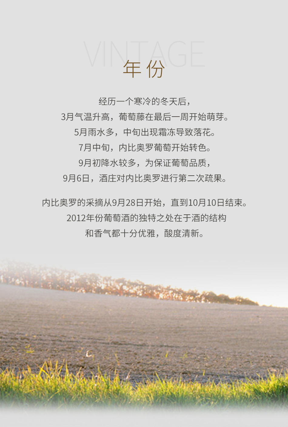 2012年宝维诺卡若巴罗洛红葡萄酒