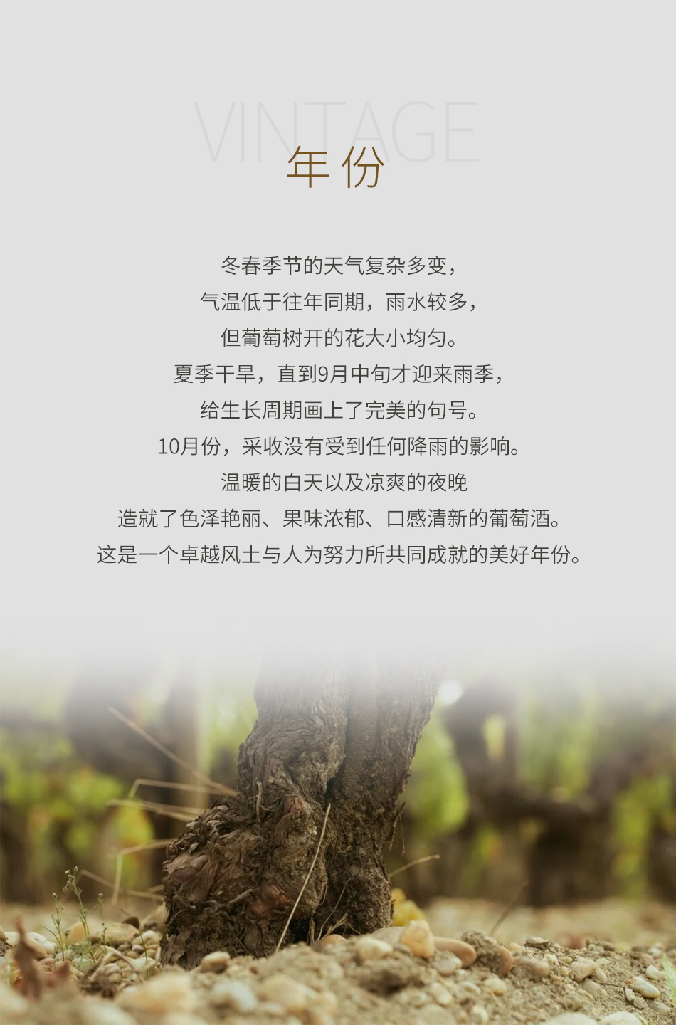 2016年美讯酒庄红葡萄酒