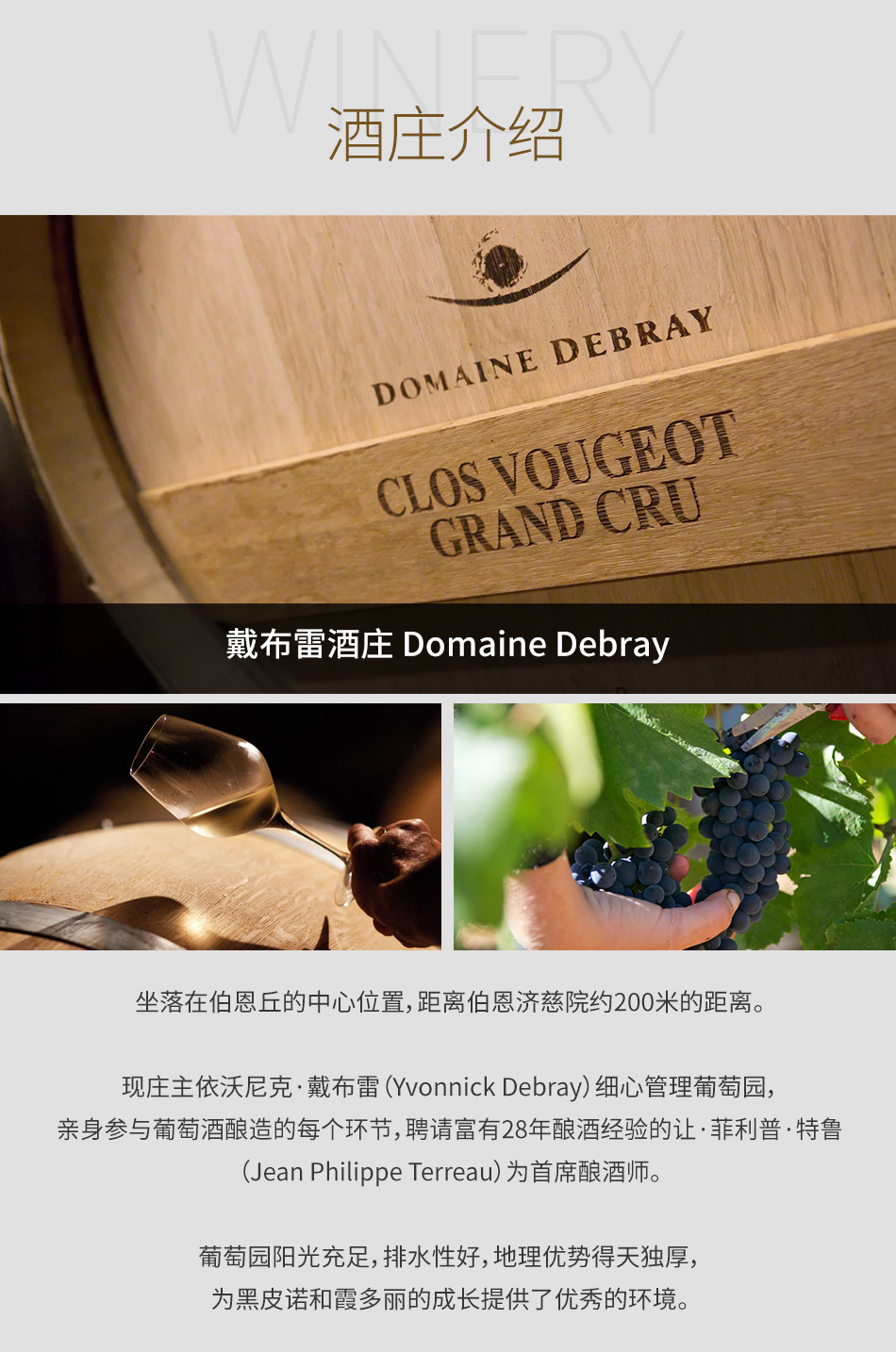 戴布雷酒庄