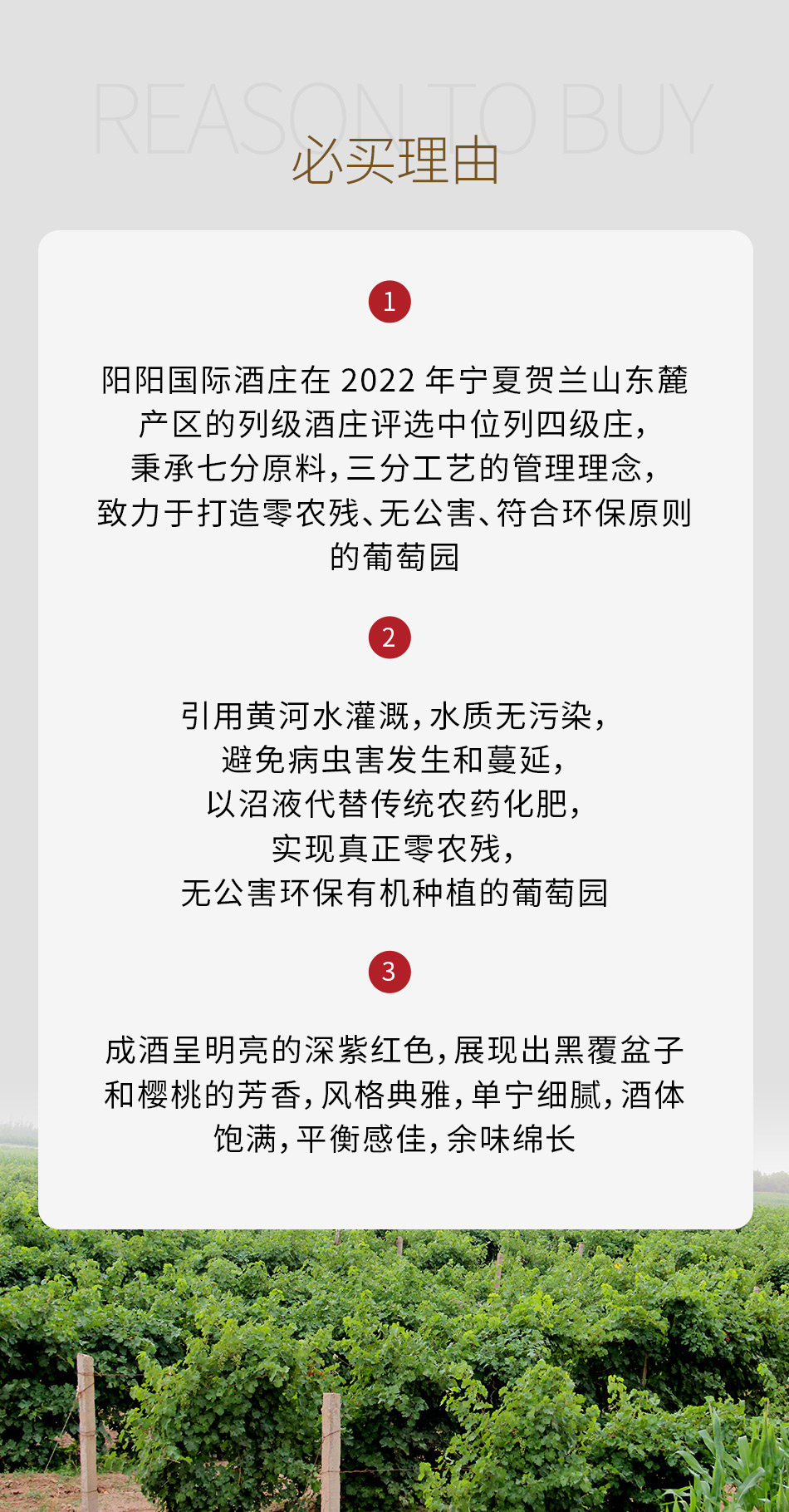 2019年阳阳国际酒庄贺牌西拉干红葡萄酒