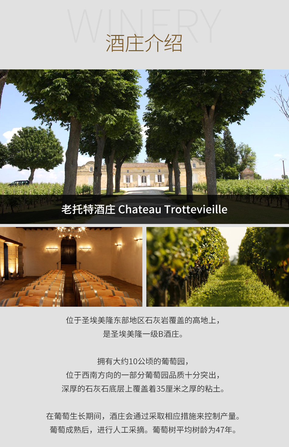 老托特酒庄