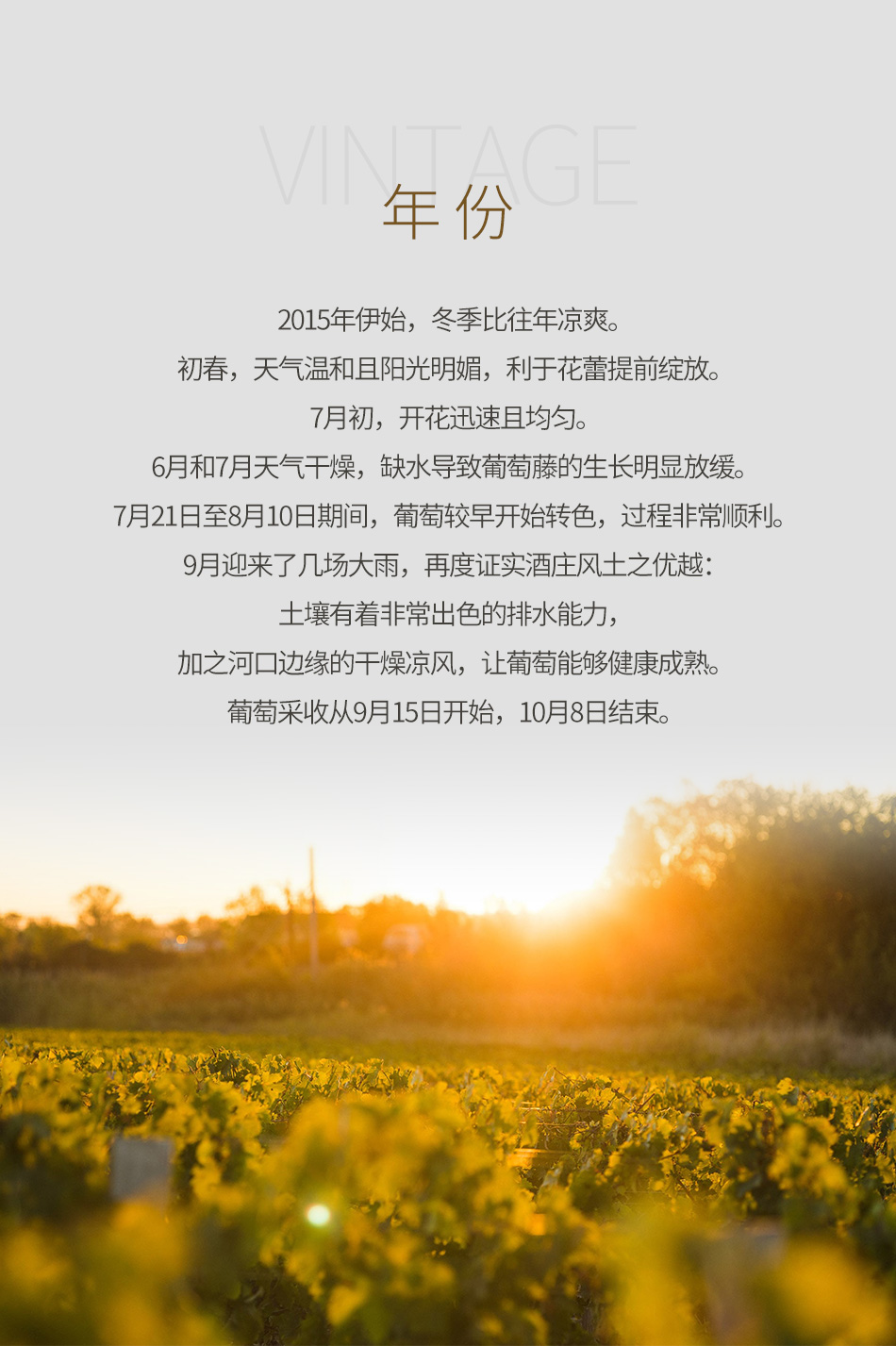 2015年杜卡斯庄园红葡萄酒