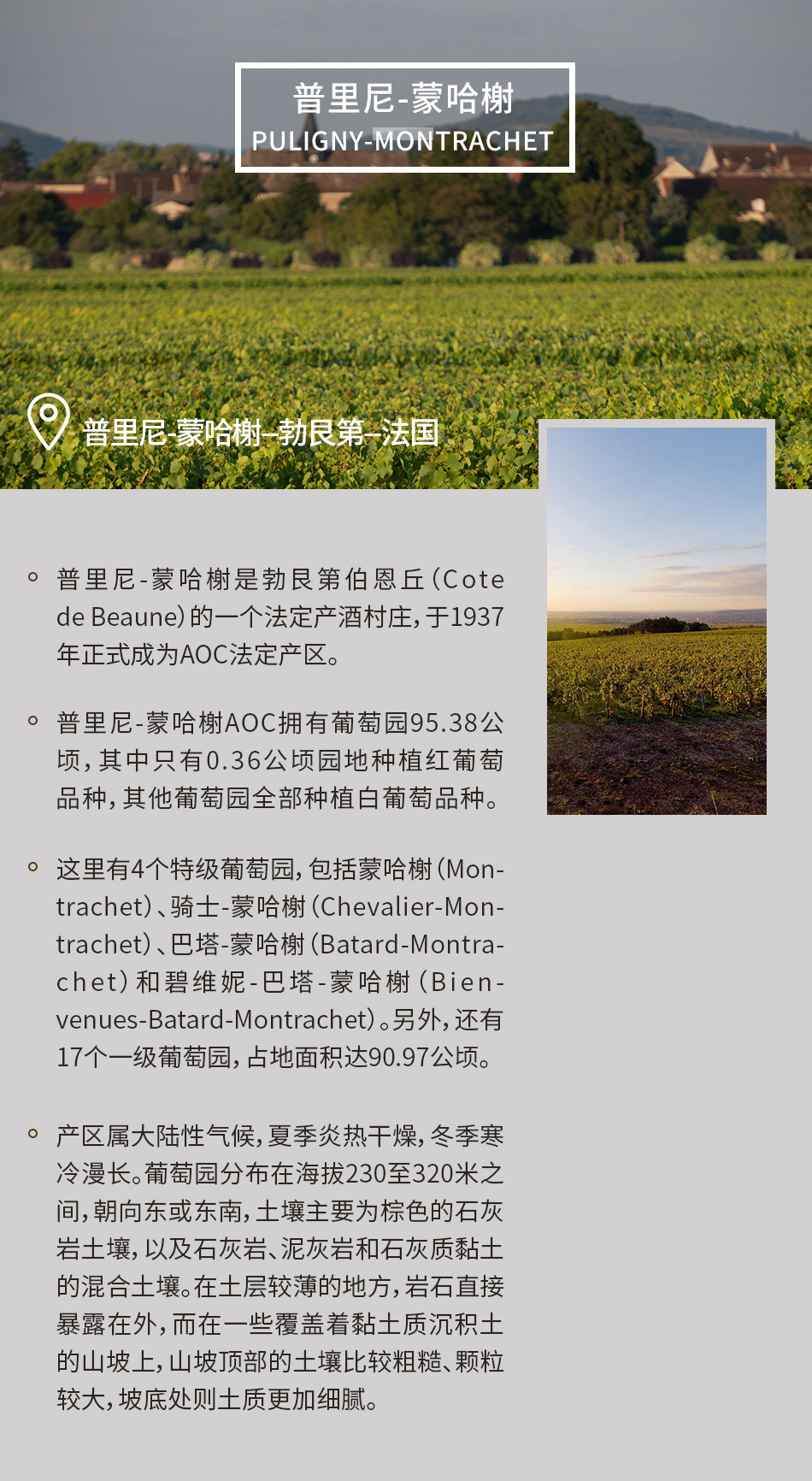 法国勃艮第 普里尼-蒙哈榭