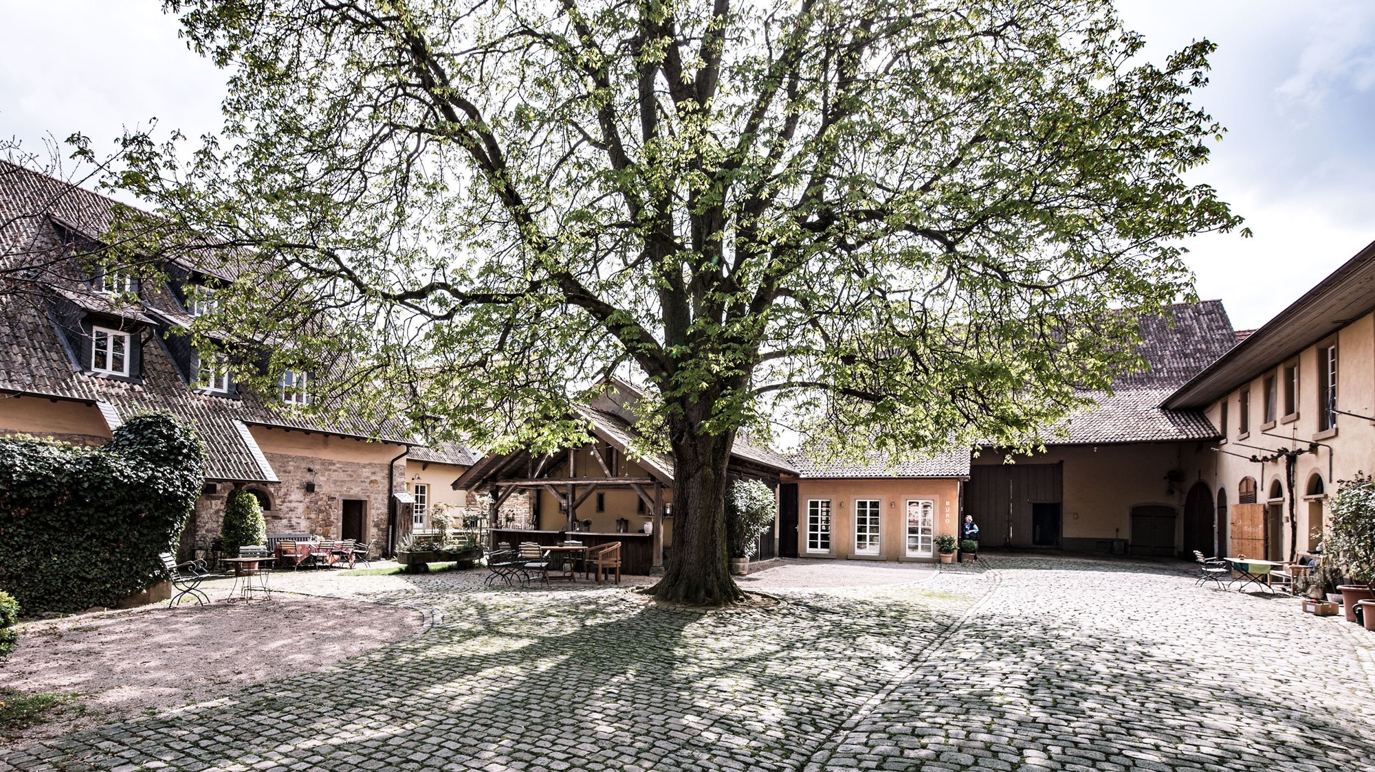 丹尼尔·瓦戈纳：我们的葡萄酒如一曲嬉游曲