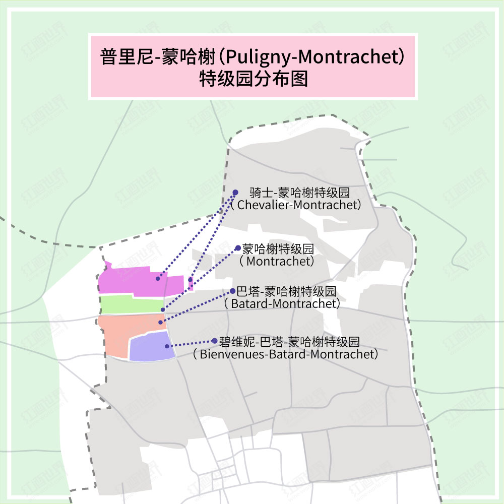 碧维妮-巴塔-蒙哈榭园