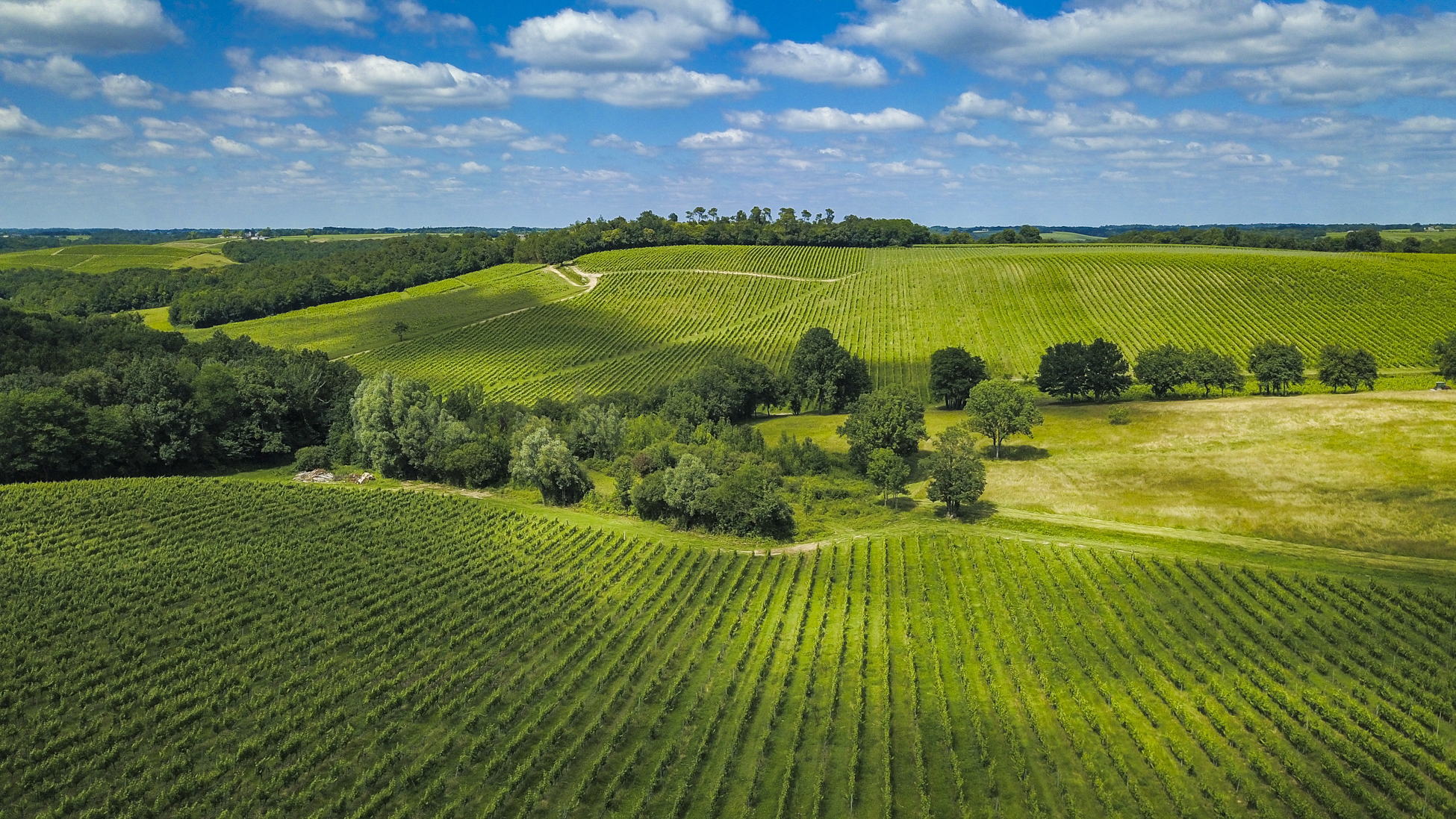 缤纷多彩，多元创新——波尔多与超级波尔多产区